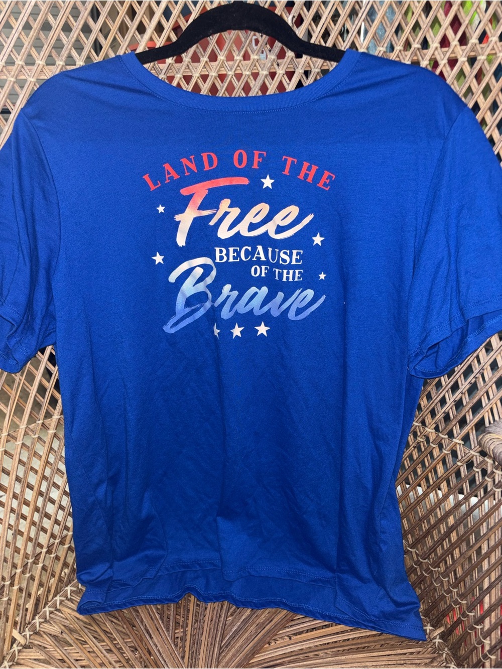 Women's Blue 'Land of the Free' Graphic Tee